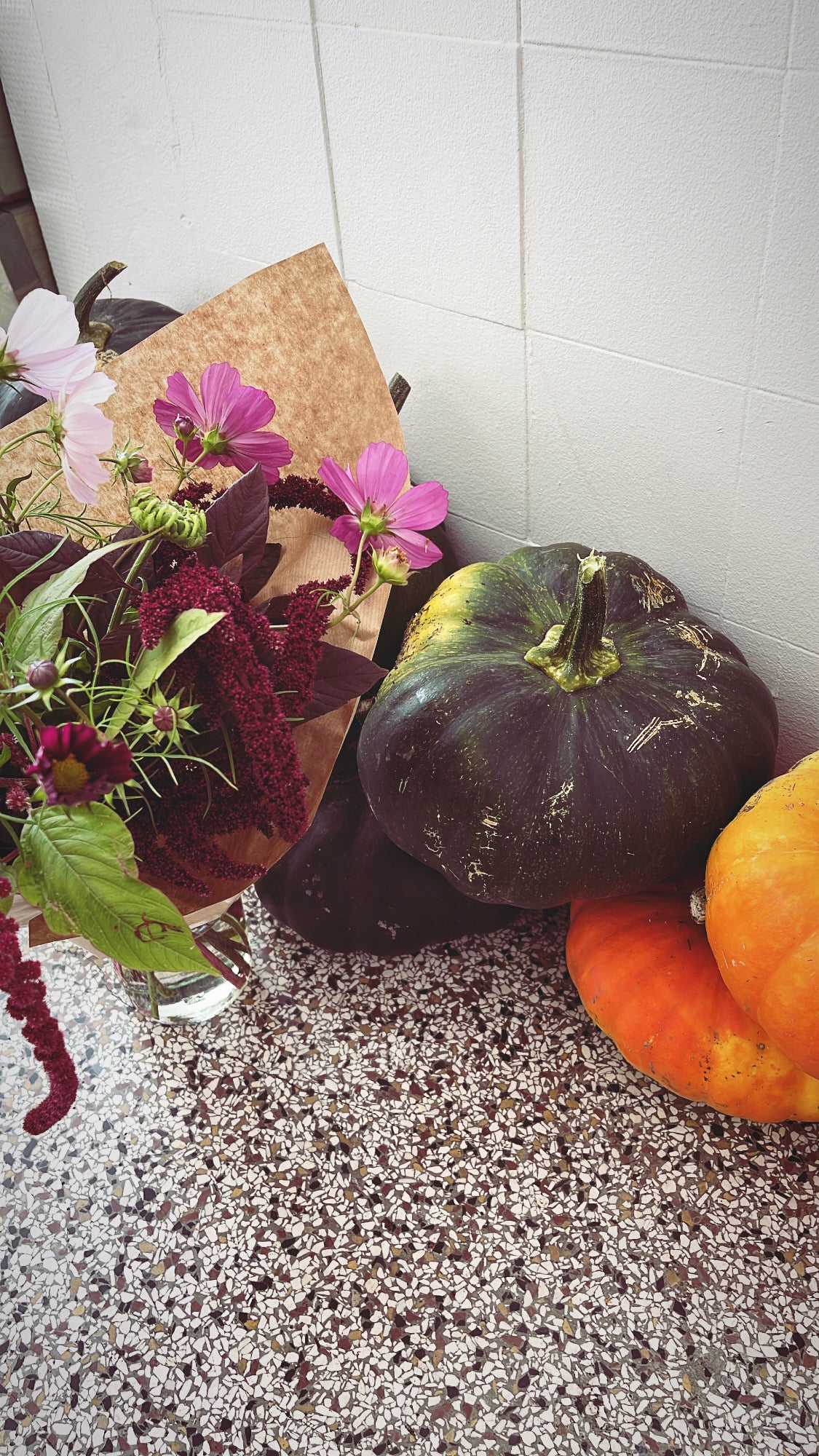 Futsu Black Pumpkin 酱/Jiang(4)