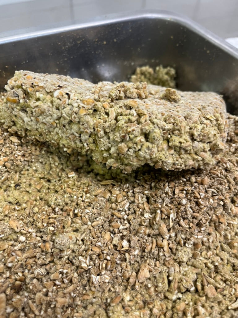 Jiang Workshop - October 22. 2024