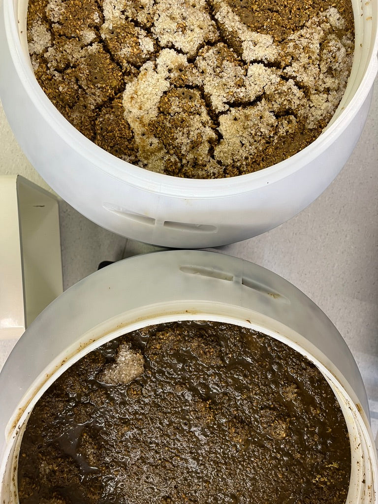 An introduction to Soy Sauce Workshop - December 6. 2025