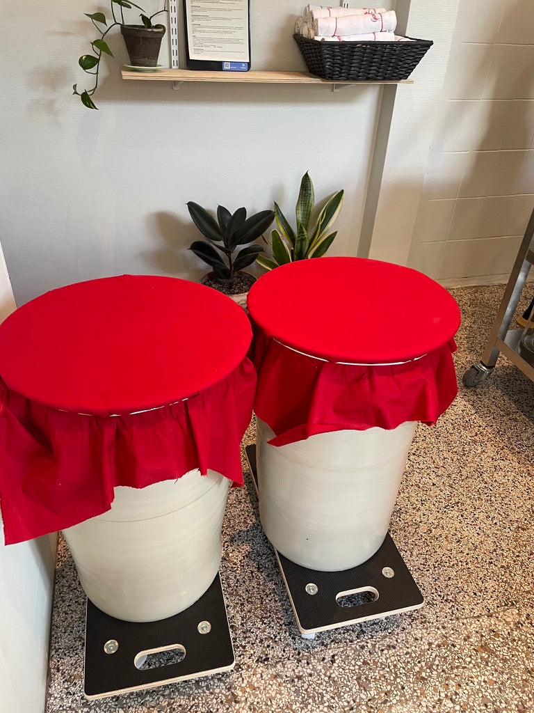 Jiang Workshop - October 22. 2024