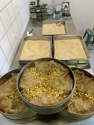 Jiang Workshop - October 22. 2024