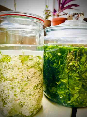 Fermented Vegetables Workshop - September 19. 2026